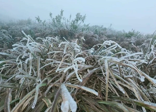 Lãnh đạo địa phương chịu trách nhiệm nếu để người dân chết vì rét