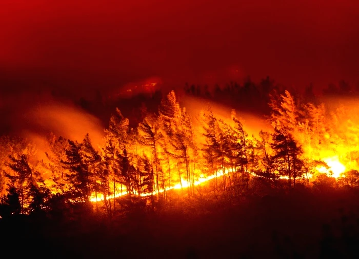 Cảnh báo nguy cơ cháy rừng thảm khốc ngày càng tăng trên toàn cầu