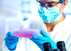 Ghép tế bào gốc: Canh bạc sinh tử thành cửa hồi sinh cho bệnh nhân ung thư máu
