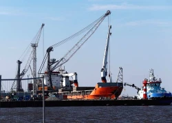 Greenpeace tiết lộ số tiền khổng lồ Nga thu về từ việc bán khí đốt cho châu Âu