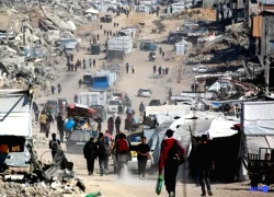 Hamas khẳng định sẽ thảo luận về đề xuất hòa bình của Tổng thống Mỹ