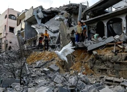 Hamas nêu mong muốn về kế hoạch hoà bình của Tổng thống Mỹ Trump