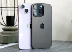 iPhone 11 Pro Max và Apple Watch Series 3 chính thức thành "hàng cổ"