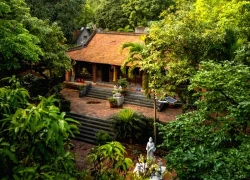 Mùa thu xao xuyến trên non thiêng Yên Tử