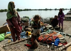 Người Pakistan bị đeo bám bởi lũ lụt và dịch bệnh