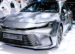Sedan hạng D tại Việt Nam: Doanh số "đội sổ" giữa xu hướng xe gầm cao