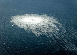 Thợ lặn Ukraine nghi liên quan tới vụ phá hoại đường ống Nord Stream bị bắt