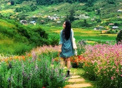 Trông như Thuỵ Sĩ nhưng là quán cà phê ở Mộc Châu