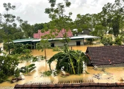 Từ rốn ngập ở Nghệ An, Chủ tịch xã kêu gọi 'bà con tự cứu lấy mình trước'