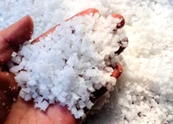 3 thực phẩm màu trắng ăn mòn lá gan