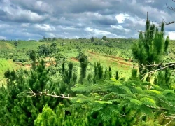 Ấn tượng Tà Đùng với chuyện làm du lịch của các "trai bản" người Mông