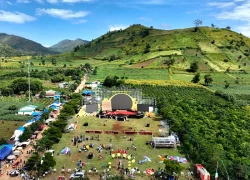 Chờ đón hội hoa vàng trên núi lửa triệu năm