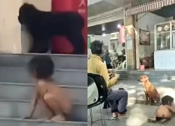 Em bé sống như người rừng, bò bằng tứ chi ở cùng cha mẹ có học vấn cao