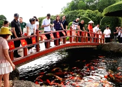 Khu du lịch sinh thái Dũng Tân: Điểm đến du lịch xanh đặc sắc của Thái Nguyên