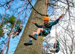 Hòa mình vào thiên nhiên cùng các lễ hội xanh đáng trải nghiệm nhất nước Anh