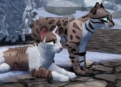 IP game đạt 600 triệu lượt chơi, chuẩn bị ra mắt game di động đỉnh cao hứa hẹn xô đổ mọi kỷ lục