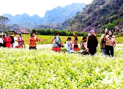 Khai thác tiềm năng du lịch xanh