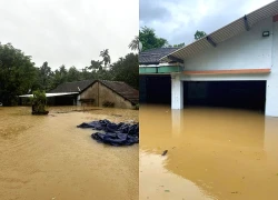 Lũ trên sông Vu Gia - Thu Bồn phá vỡ kỷ lục lịch sử năm 1964, Đà Nẵng đối mặt đại hồng thủy