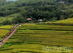 Miền Đồi thơ mộng