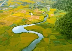 Những căn nhà cùng hướng tại làng du lịch tốt nhất thế giới ở Việt Nam