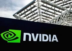 Nvidia trở thành công ty đầu tiên trên thế giới đạt giá trị vốn hóa 5.000 tỷ USD
