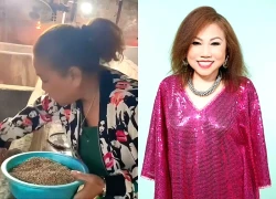 Sao nữ Vbiz tuổi U60: Về quê làm nông "vất vả nhưng vui", mắc nhiều bệnh nhập viện nguy kịch