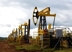 Thay đổi lớn trên bản đồ năng lượng thế giới sau khi Tổng thống Trump trừng phạt dầu Nga