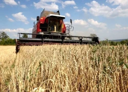 Thỏa thuận nông nghiệp EU - Ukraine chính thức có hiệu lực