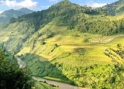 48 giờ nghỉ dưỡng giữa mùa vàng Mù Cang Chải