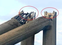 Cột điện có lõi "lạ" ở Hà Tĩnh: Sau mỗi trận bão lại lộ ra nhiều vấn đề