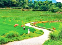 Điểm hẹn bốn mùa hương sắc xứ Thanh