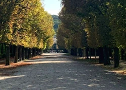 Khám phá Vienna, thành phố được mệnh danh là nơi đáng sống nhất thế giới