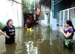 Khu dân cư 'ra ngõ nước ngập ngang người' ở Hà Nội, phường xin đắp đê