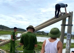Lộ diện công ty sản xuất cột điện bị gãy sau bão Bualoi