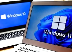 Microsoft thừa nhận hai tính năng làm chậm máy tính Windows 10 và 11