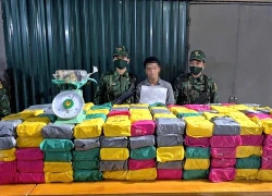 Nửa tấn ma túy được đóng bao "thức ăn cho cá", xếp đầy trên xe đầu kéo
