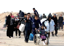 Phản ứng quốc tế về kế hoạch hòa bình cho Gaza