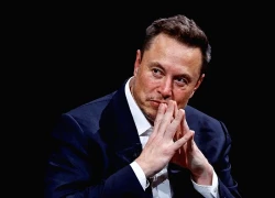 Tuần điên rồ của Elon Musk: Tesla phá kỷ lục doanh số, cổ phiếu lao dốc