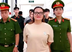 Vụ Hoàng Hường bị khởi tố: Làm từ thiện nhiều thì có được giảm nhẹ?