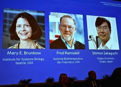 3 nhà khoa học nhận giải Nobel Y sinh 2025