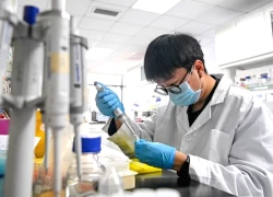 Chảy máu chất xám ngược: Nhân tài Trung Quốc rời Mỹ hồi hương