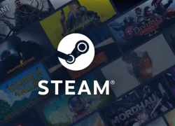 Game thủ cầu khẩn Steam, mong muốn được thừa kế tài khoản sau khi phụ huynh "qua đời"