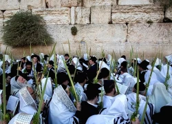 Israel bắt đầu Lễ hội Sukkot