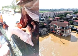 Nước lũ sông Cầu dâng cao, hơn 5.000 người ở Hà Nội bị cô lập