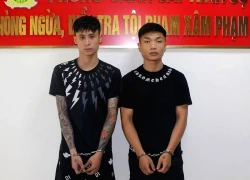 Bắt 2 đối tượng gây ra 7 vụ cướp giật trên đường phố