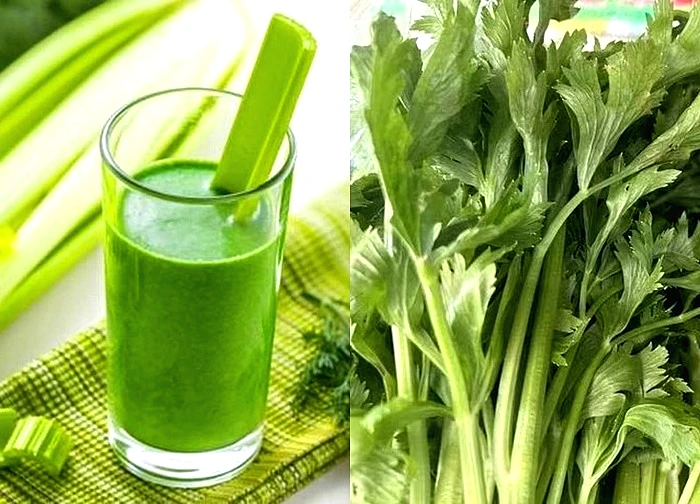 Cần tây - Lợi ích sức khỏe và giá trị dinh dưỡng