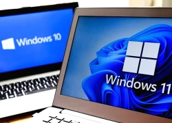 Hàng triệu người vẫn quyết định ở lại với Windows 10 sau khi bị khai tử