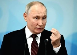 Nga sẵn sàng tham gia hòa giải về Gaza và thỏa hiệp trong vấn đề Ukraine