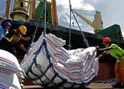Philippines kéo dài lệnh cấm nhập khẩu gạo đến hết năm 2025