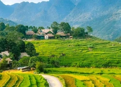 Pù Luông - 'Sa Pa xứ Thanh' thức giấc giữa đại ngàn